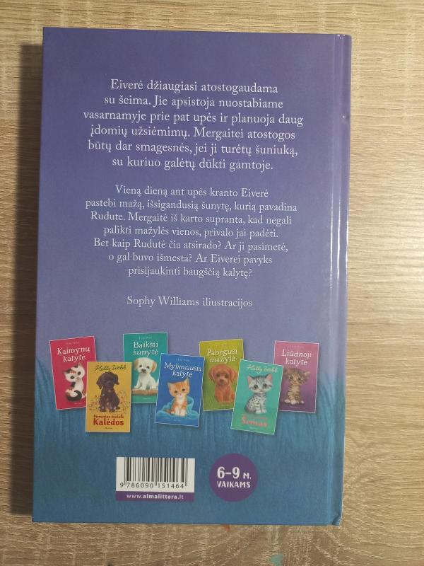 Išgąsdinta Rudutė - Autorių Kolektyvas, knyga 2