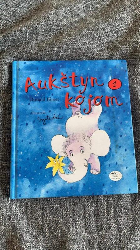 Aukštyn kojom 1 - Donald Bisset, knyga 3