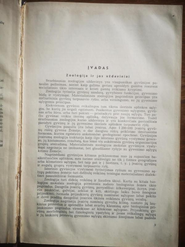 Bestuburių zoologija - Vladimir Natali, knyga 3