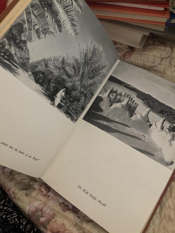 Arabia phoenix - Autorių Kolektyvas, knyga 3