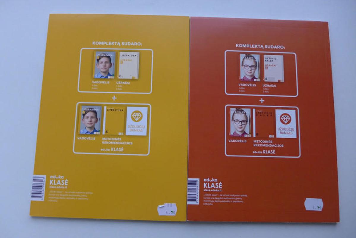 Atrask. Literatūra. Užrašai. VI klasei. 1 dalis - Vida Naudužienė, Živilė Meškėlienė, Asta Gustaitienė, Vaiva Truskauskienė, knyga 3