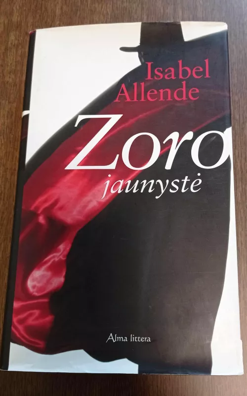 Zoro jaunystė - Isabel Allende, knyga 2