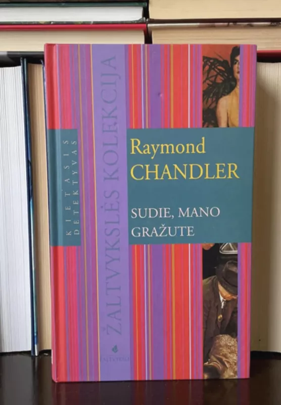 Sudie, mano gražute - Raymond Chandler, knyga