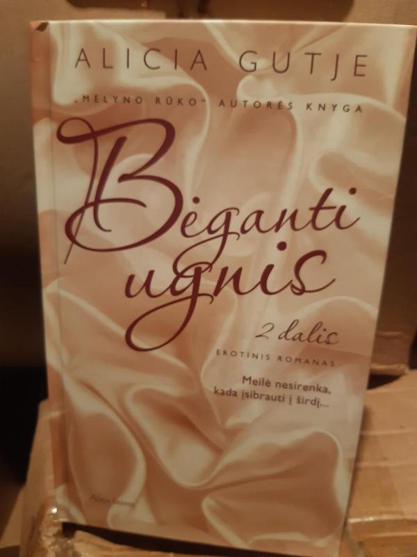 Bėganti ugnis. 2 dalis - Gutje Alicia, knyga 3