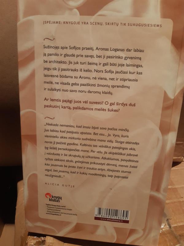 Bėganti ugnis. 2 dalis - Gutje Alicia, knyga 3