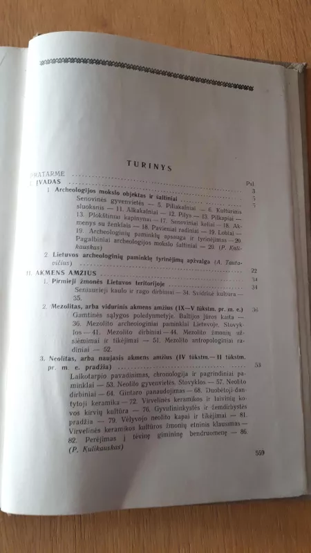 Lietuvos archeologijos bruožai - P. Kulikauskas, R.  Kulikauskienė, A.  Tautavičius, knyga 4