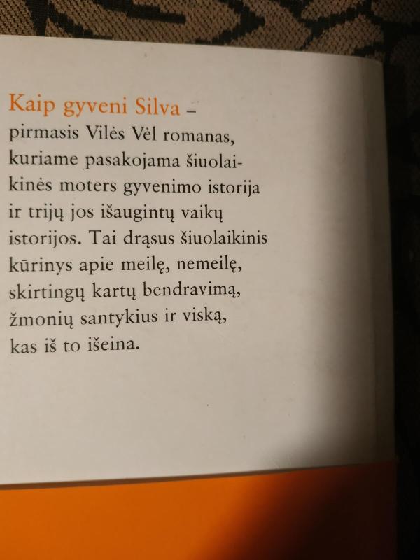 Kaip gyveni, Silva -  Vilė Vėl, knyga 4