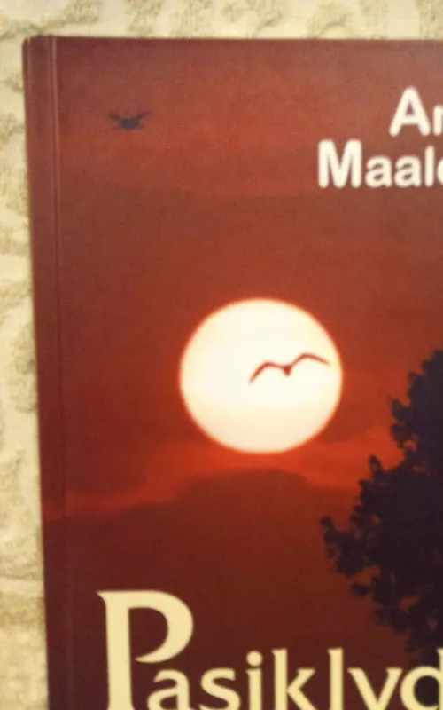 Pasiklydę - Amin Maalouf, knyga 2