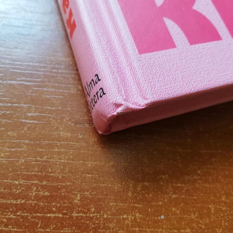 Mergaitės knyga - Juliana Foster, knyga 4