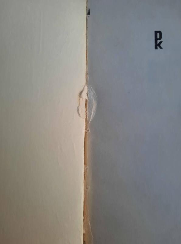 Ramios saulės metai - Ramūnas Kasparavičius, knyga 5