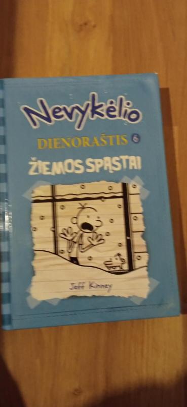 Nevykėlio dienoraštis 6, žiemos spąstai - Jeff Kinney, knyga 3