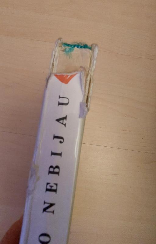 Nė velnio nebijau - Aldona Liobytė, knyga 3