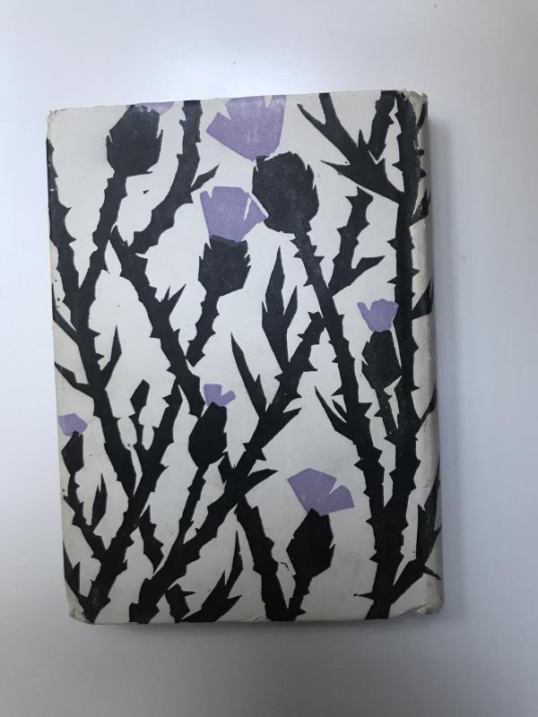 Velnio tiltas - A. Baltakis, knyga 4