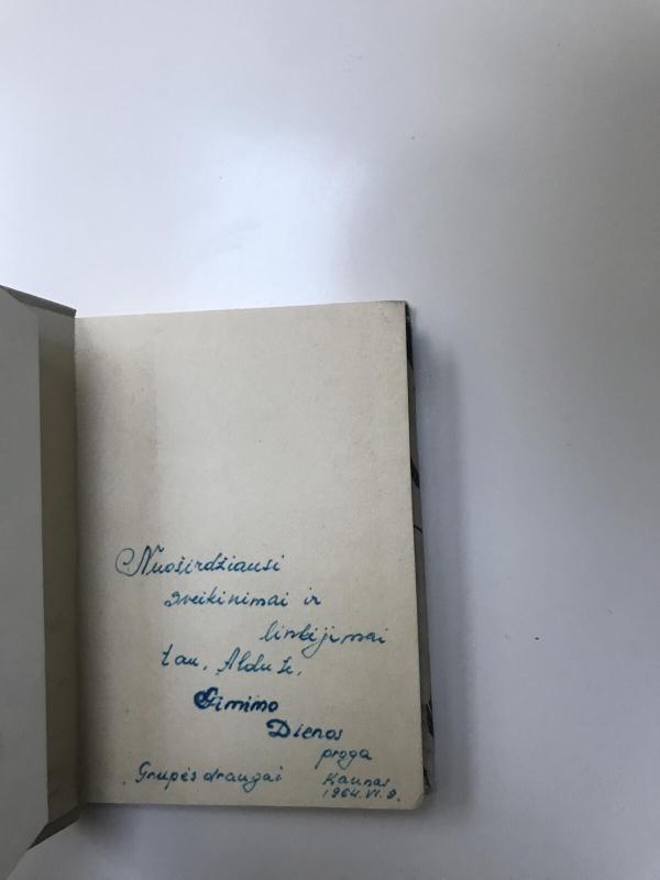 Velnio tiltas - A. Baltakis, knyga 2