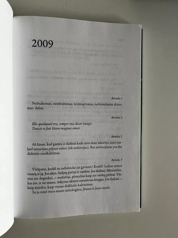 Dienoraščio fragmentai 2009-2012 - Alfonsas Nyka-Niliūnas, knyga