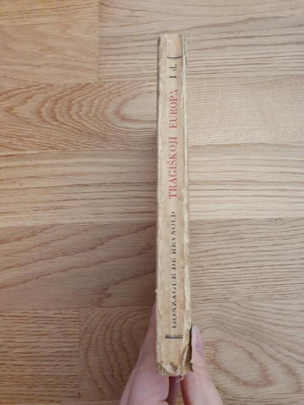 Tragiškoji europa. Naujųjų laikų revoliucija. I dalis. - R. Gonzague, knyga 4