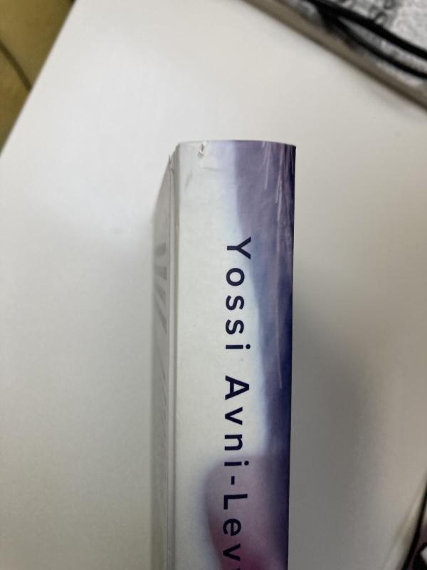 Meilės prekeiviai - Yossi Avni-Levy, knyga 2