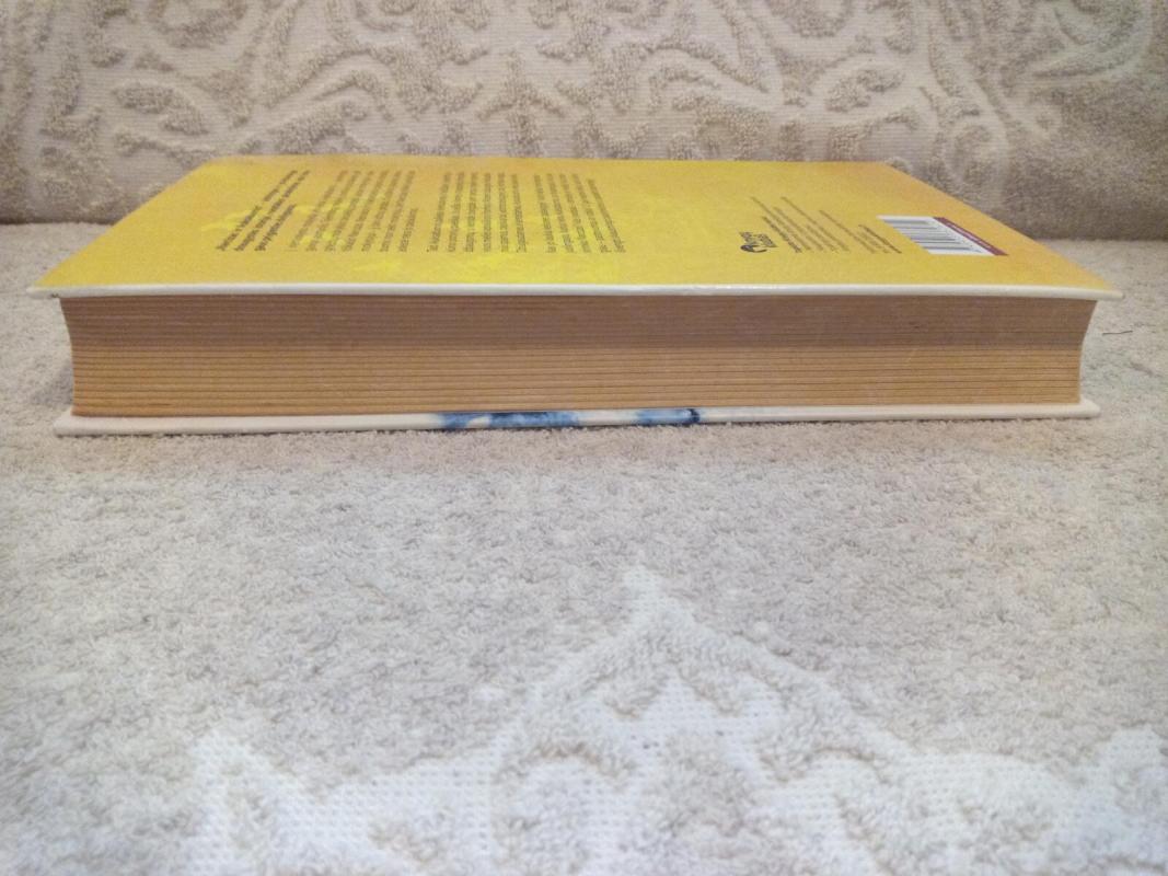 Narcizas ir Auksaburnis - Hermanas Hesė, knyga 5