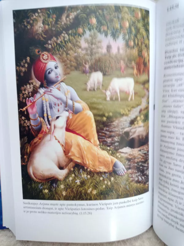 Srimad Bhagavatam (pirma giesmė, antra dalis) - A. C. Bhaktivedanta Swami Prabhupada, knyga 4