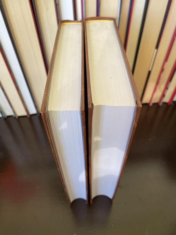 Žmogus be savybių - Robertas Muzilis, knyga