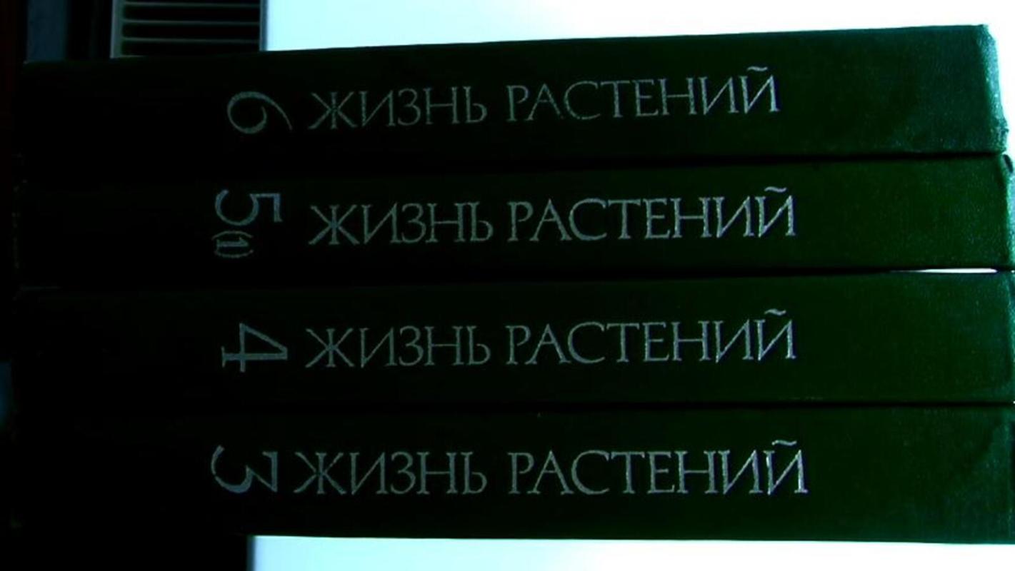 Жизнь растений. Энциклопедия (6 томов) - А. Федоров, knyga 2