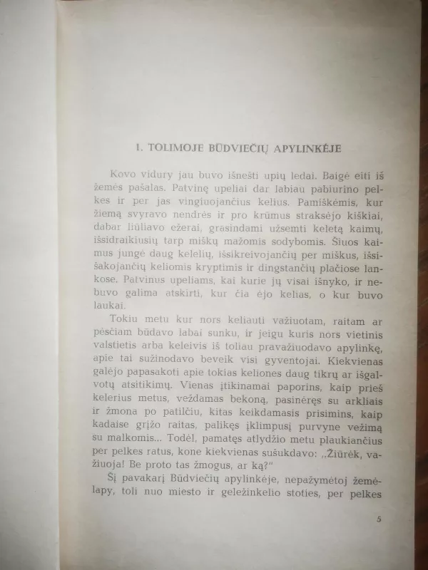 Būdviečių mokykla - Vincas Žilionis, knyga 2