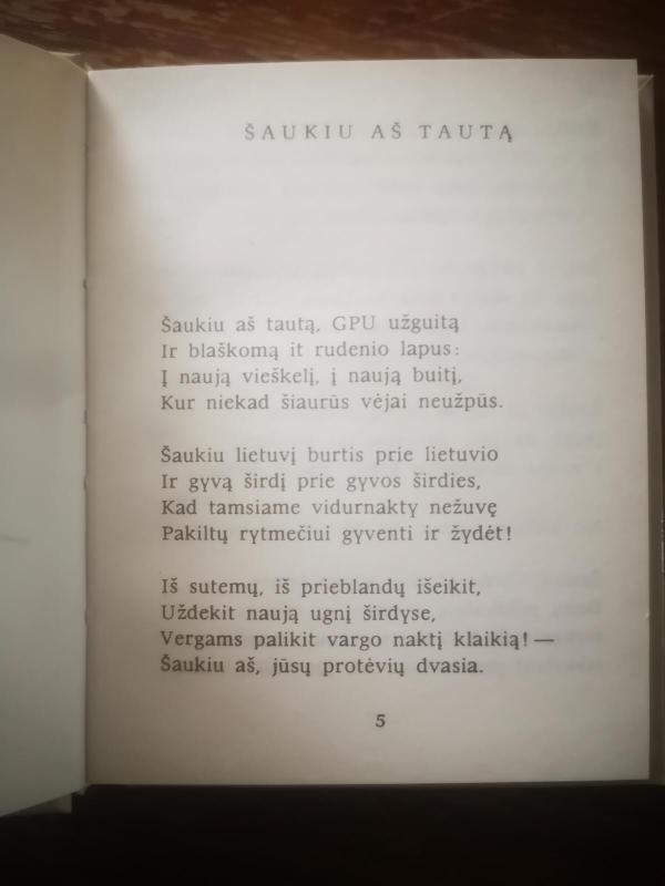 Šaukiu aš tautą - Bernardas Brazdžionis, knyga 2