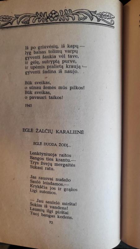 Salomėja Nėris (serija Mokinio biblioteka) - Salomėja Nėris, knyga 4