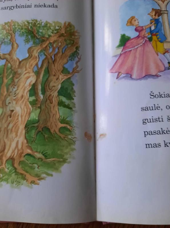 Princesių pasakos - Nicola Baxter, knyga 5