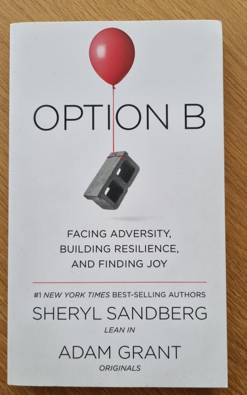 Option B - Sheryl Sandberg, knyga 2