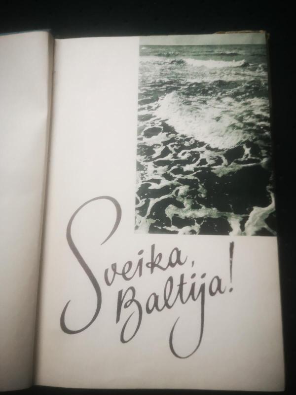 Palanga - Leonas Kiauleikis, knyga 3