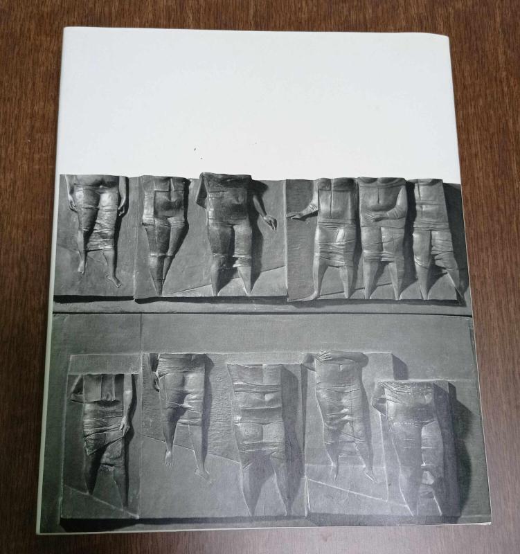 Vytautas Kašuba - Irena Kostkevičiūtė, knyga 5