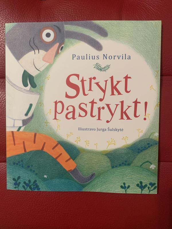 Strykt pastrykt ! - Paulius Norvila, knyga 3