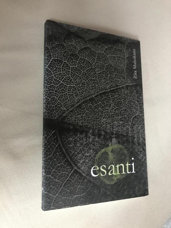 Esanti - Zita Mažeikaitė, knyga 3