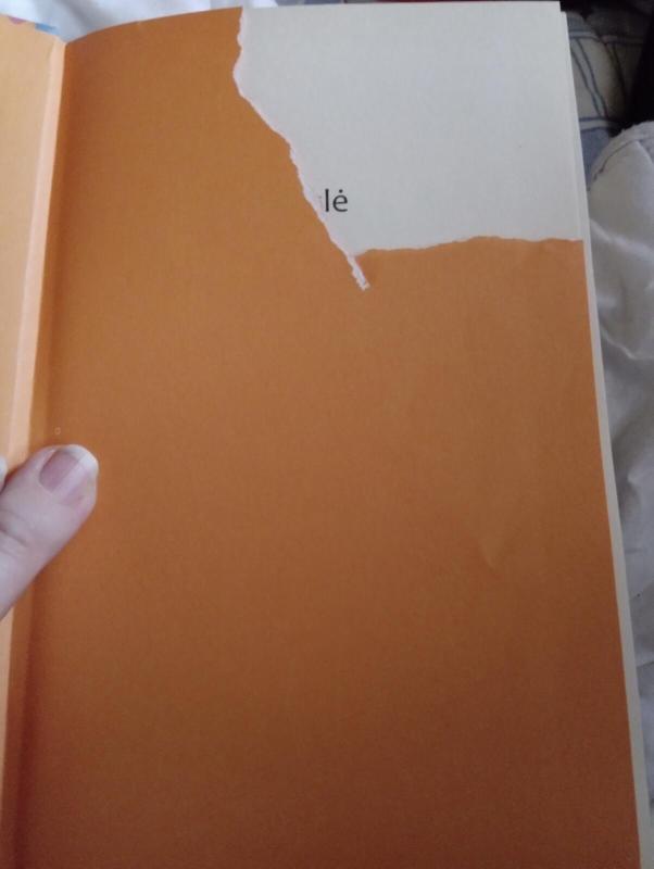 Baidyklė - Vladimiras Železnikovas, knyga 2