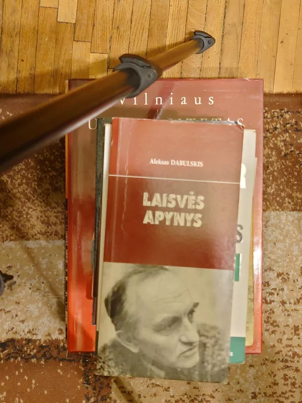 Laisvės apynys - Aleksas Dabulskis, knyga