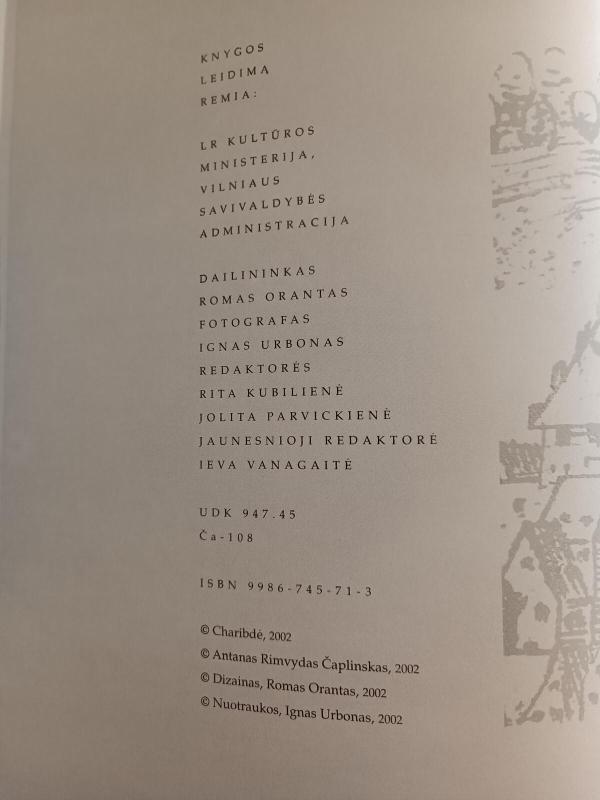 Valdovų kelias: Didžioji gatvė - Antanas Rimvydas Čaplinskas, knyga 3