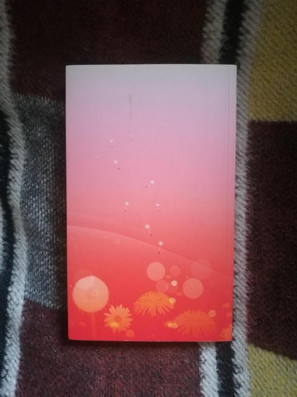 Jeigu mane dabar pamatytum - Cecelia Ahern, knyga 2