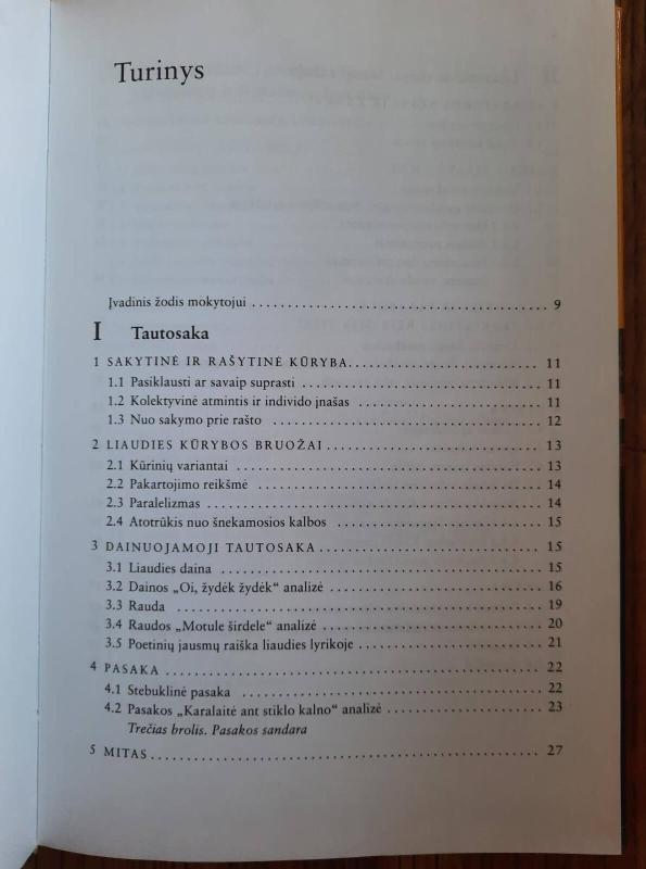 Literatūros teorija ir kūrinių interpretacijos (I dalis) - Saulius Žukas, knyga 5