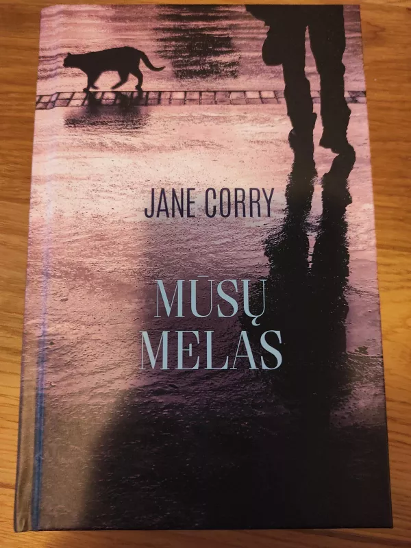Mūsų melas - Jane Corry, knyga 2