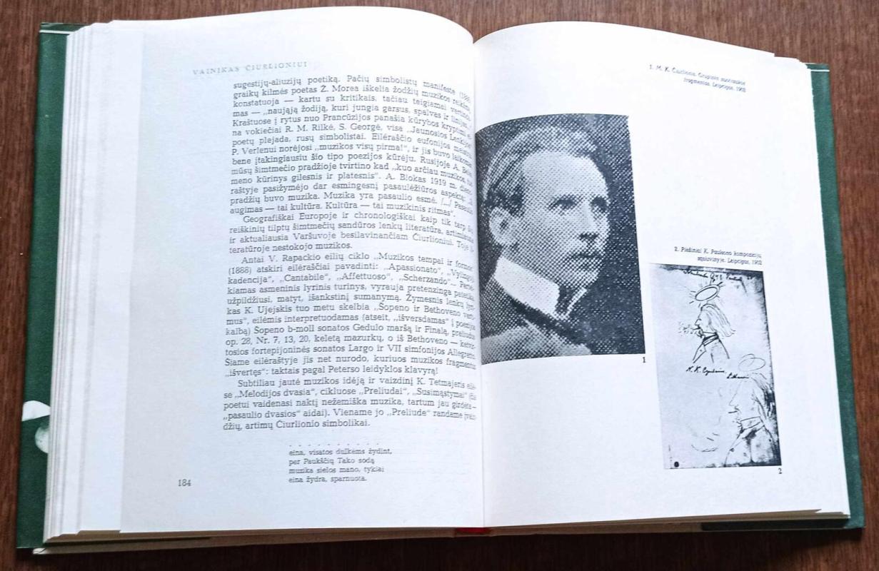 Vainikas Čiurlioniui - Vytautas Landsbergis, knyga 5