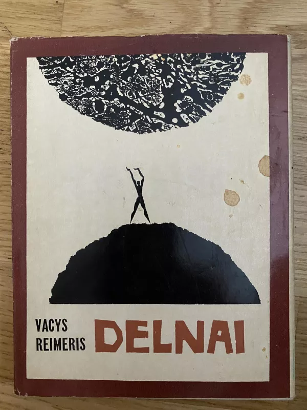 Delnai - Vacys Reimeris, knyga