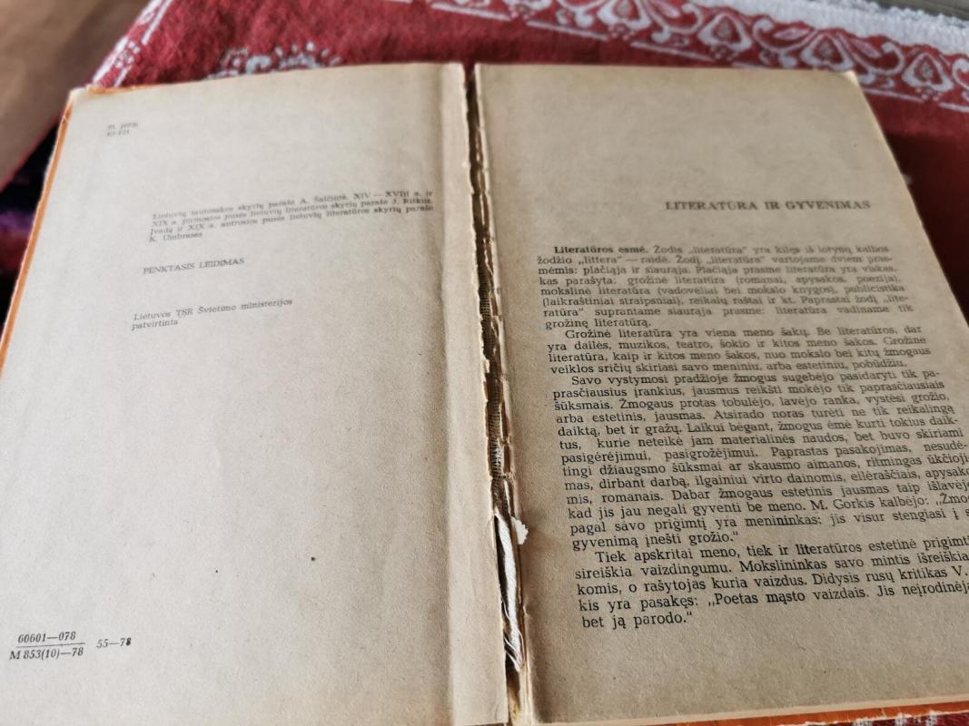 Lietuvių litreratūros vadovėlis IX klasei - J. Riškus, knyga 4