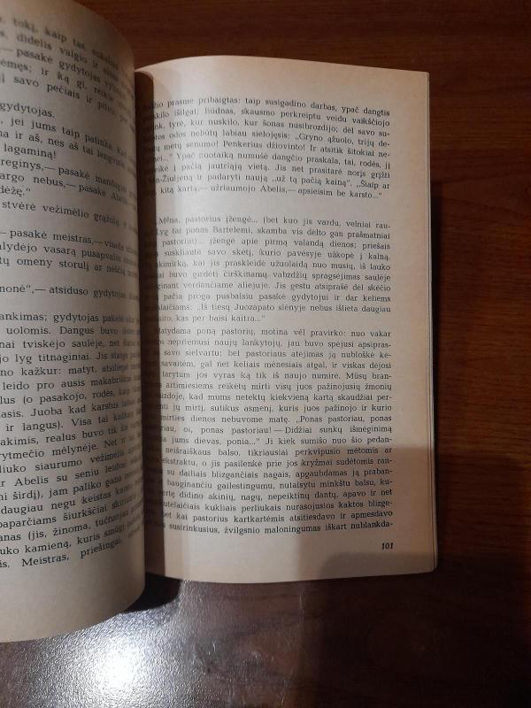 Mae Vanagas - Žanas Karjeras, knyga 3