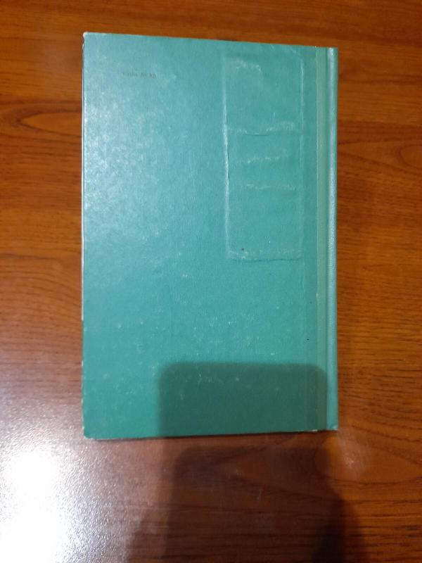 Kelionė į Deskansarą - Alfredas Velmas, knyga 4