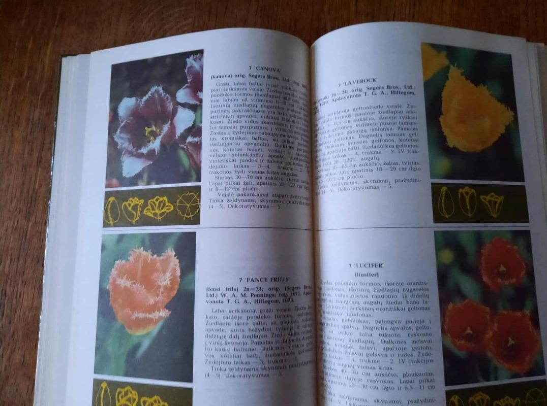 TULPĖS - A. Baliūnienė, ir kiti , knyga 5