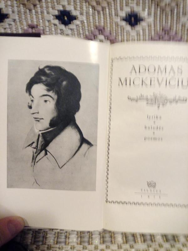Lyrika. Baladės. Poemos - Adomas Mickevičius, knyga 3