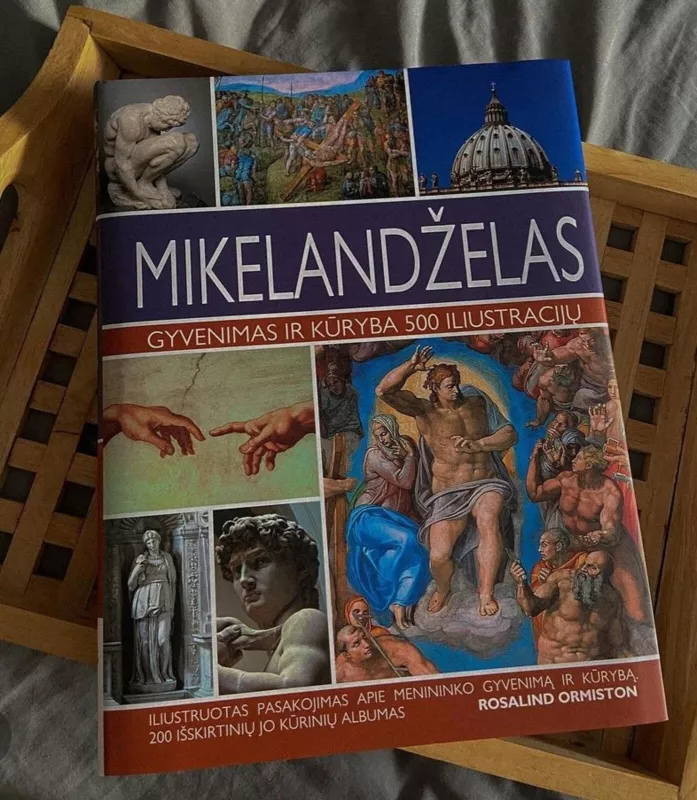 Mikelandželas - Rosalind Ormiston, knyga