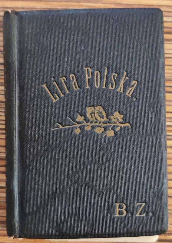 Lira Polska VII - Autorių Kolektyvas, knyga 4