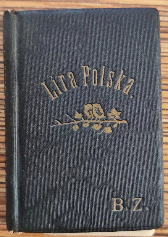 Lira Polska VII - Autorių Kolektyvas, knyga 4